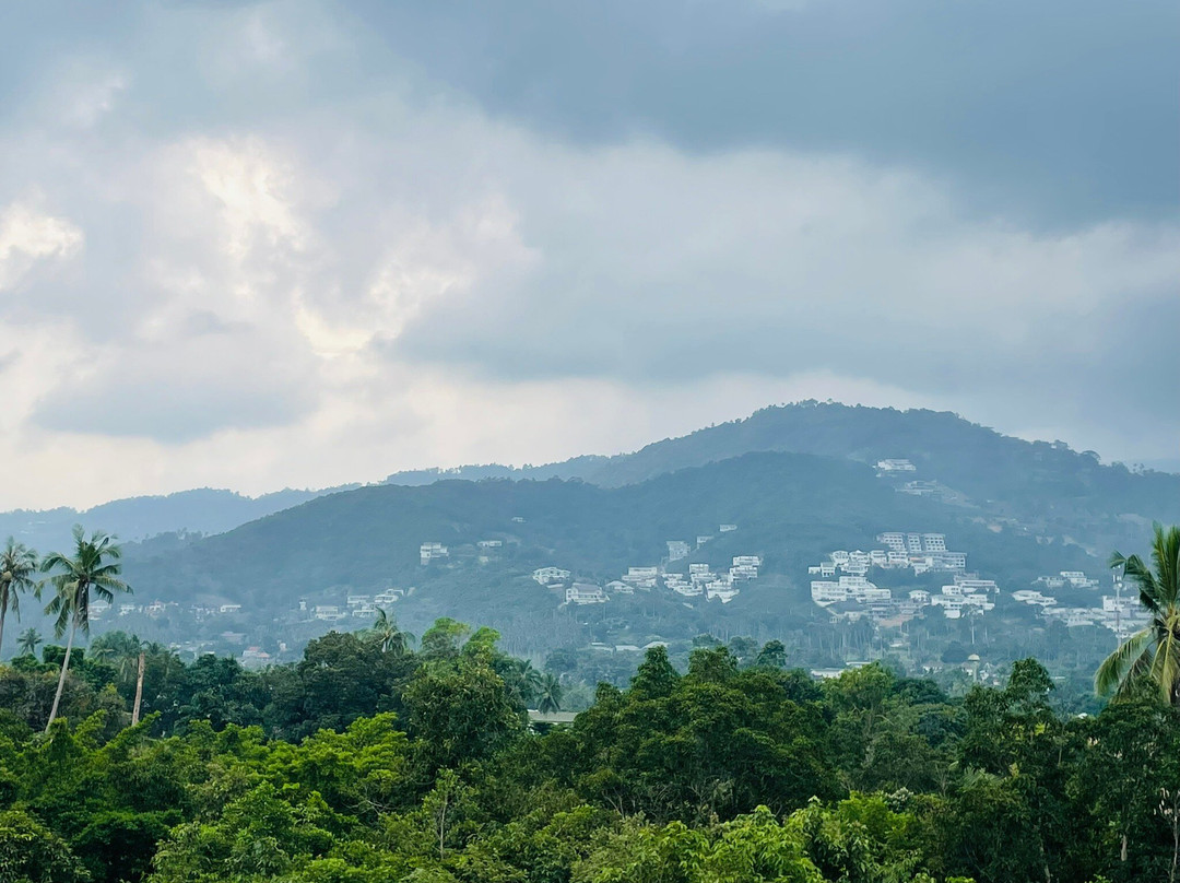 Samui International Meditation Center-波普特必去景点