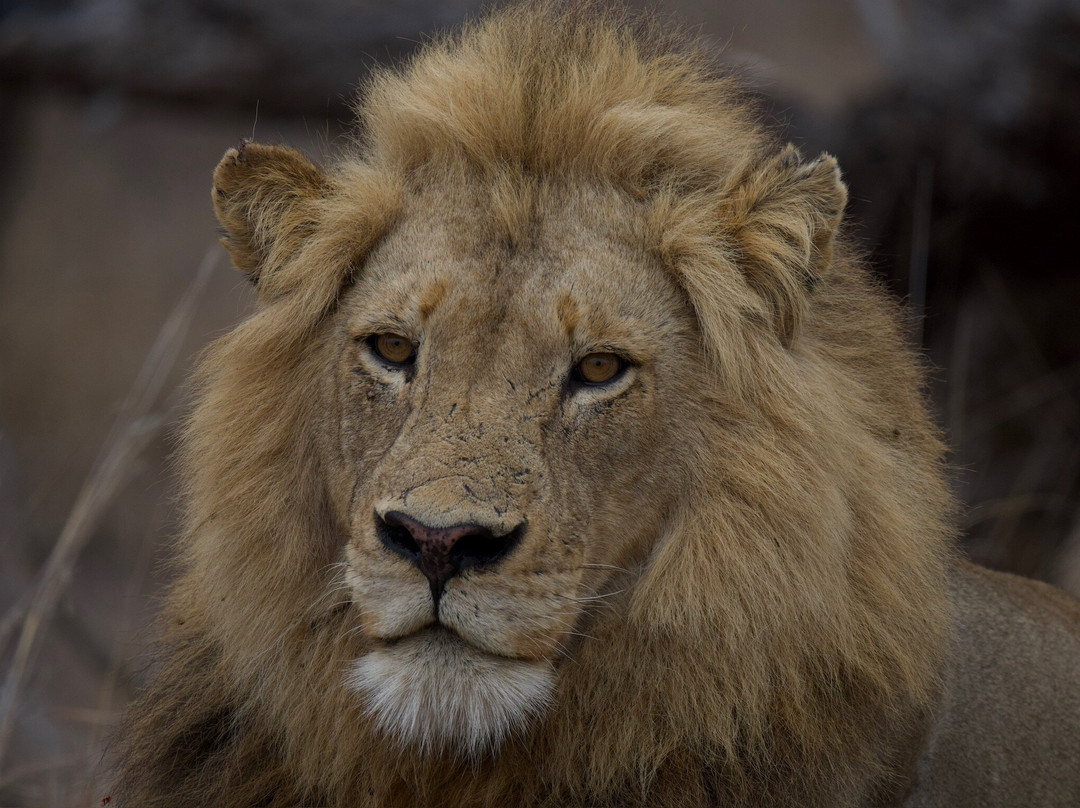 B1 Photo Safaris-雾观必去景点