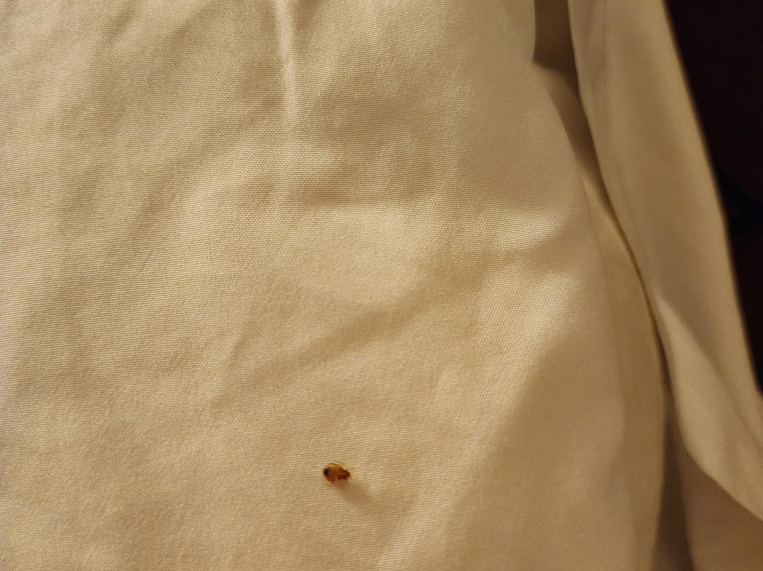 My Place Hotel-Yakima WA主图