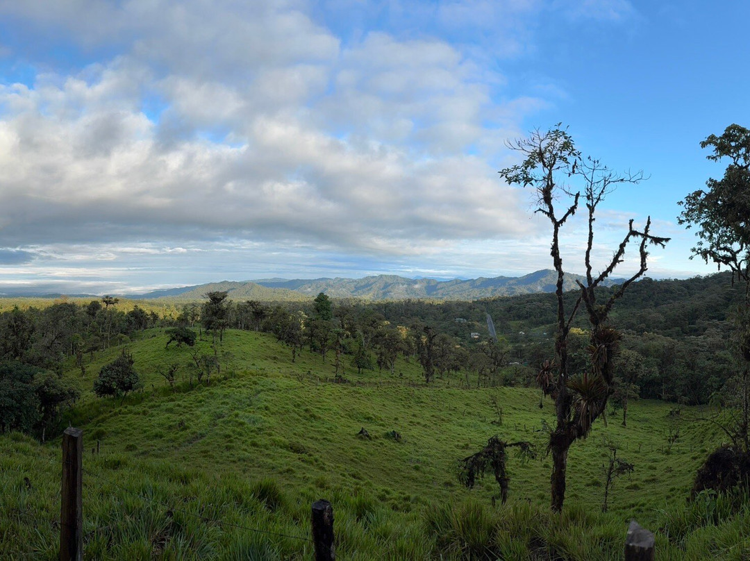 Mindo Suites Toucan Platinum主图