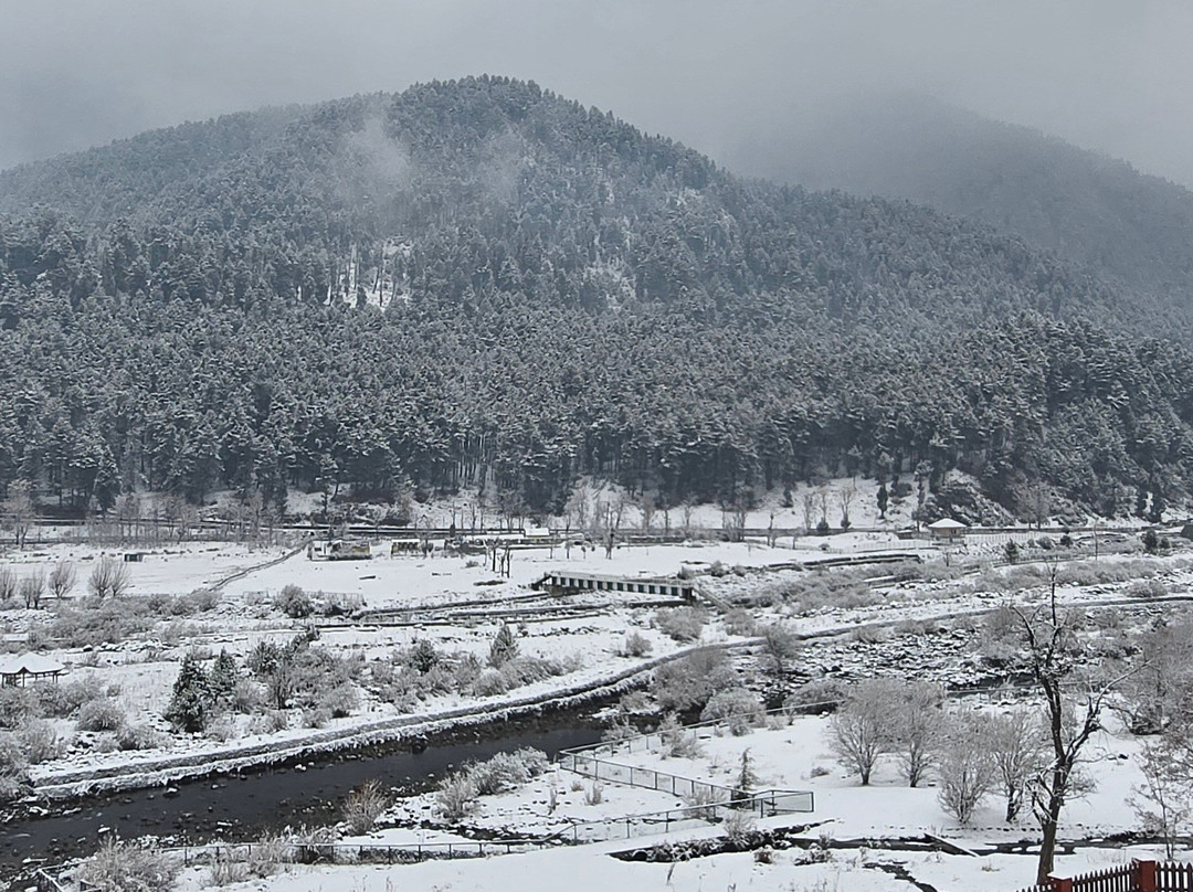 Pahalgam Hotel主图