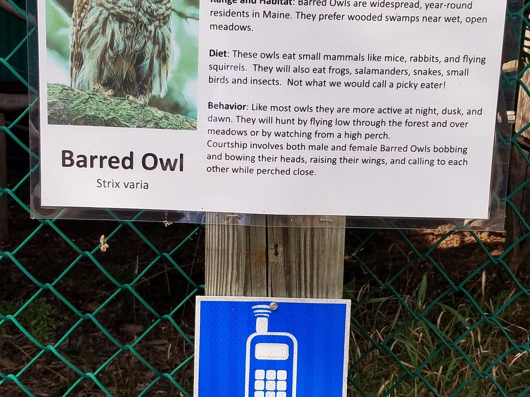 Maine Wildlife Park景点图片