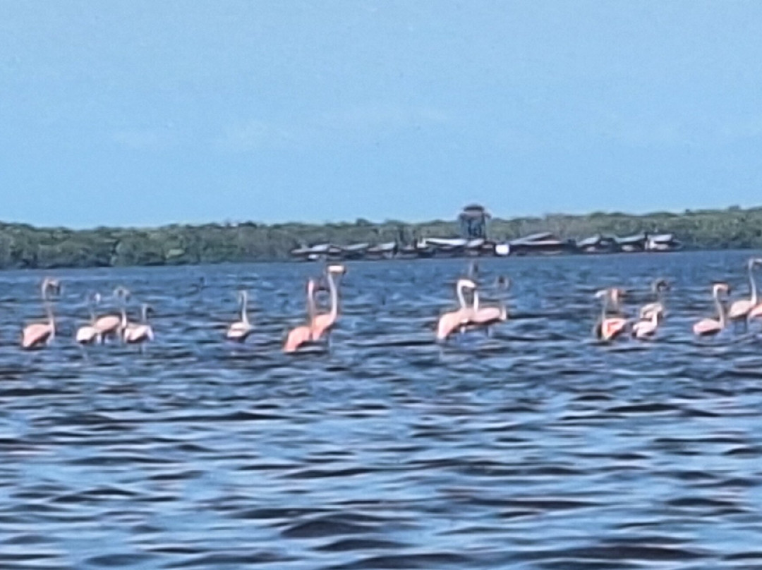 Bigi Pan-Nieuw Nickerie必去景点