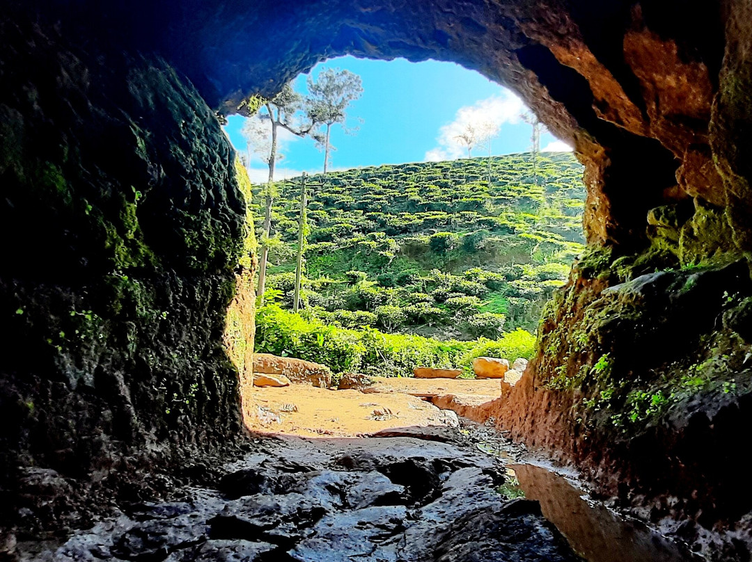 Pazhassi's Cave-Cherambadi必去景点