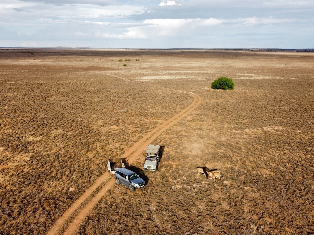 Felidae Centre-金伯利必去景点