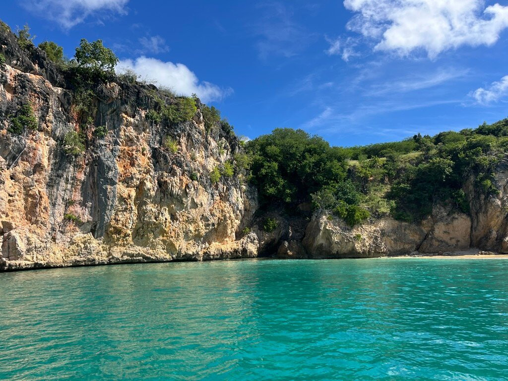 Special 'D' Diving & Charters-West End Village必去景点