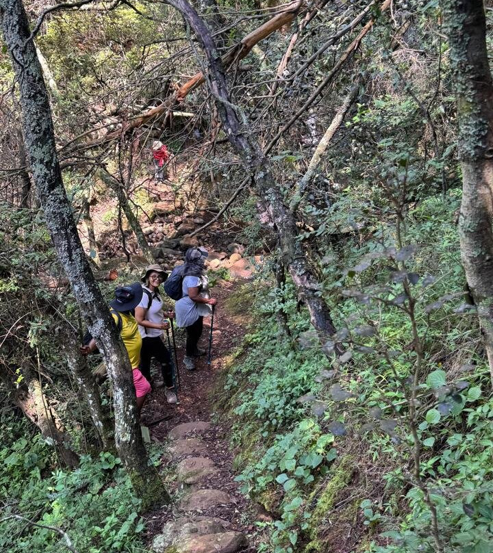 Wathaba Hiking Trail - Day Tours景点图片