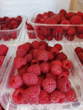 La Frambueseria-Lago Puelo必去景点