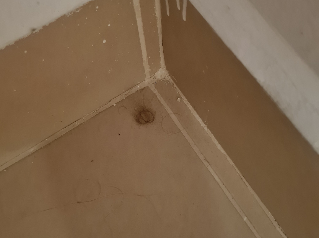 Hotel Republicano 1910主图