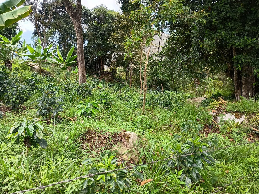 Laguna Tierra Blanca-Zetaquira必去景点