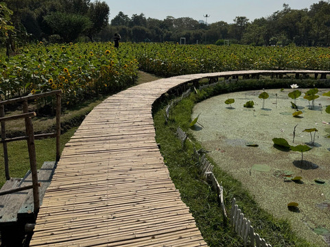 火车公园-曼谷必去景点