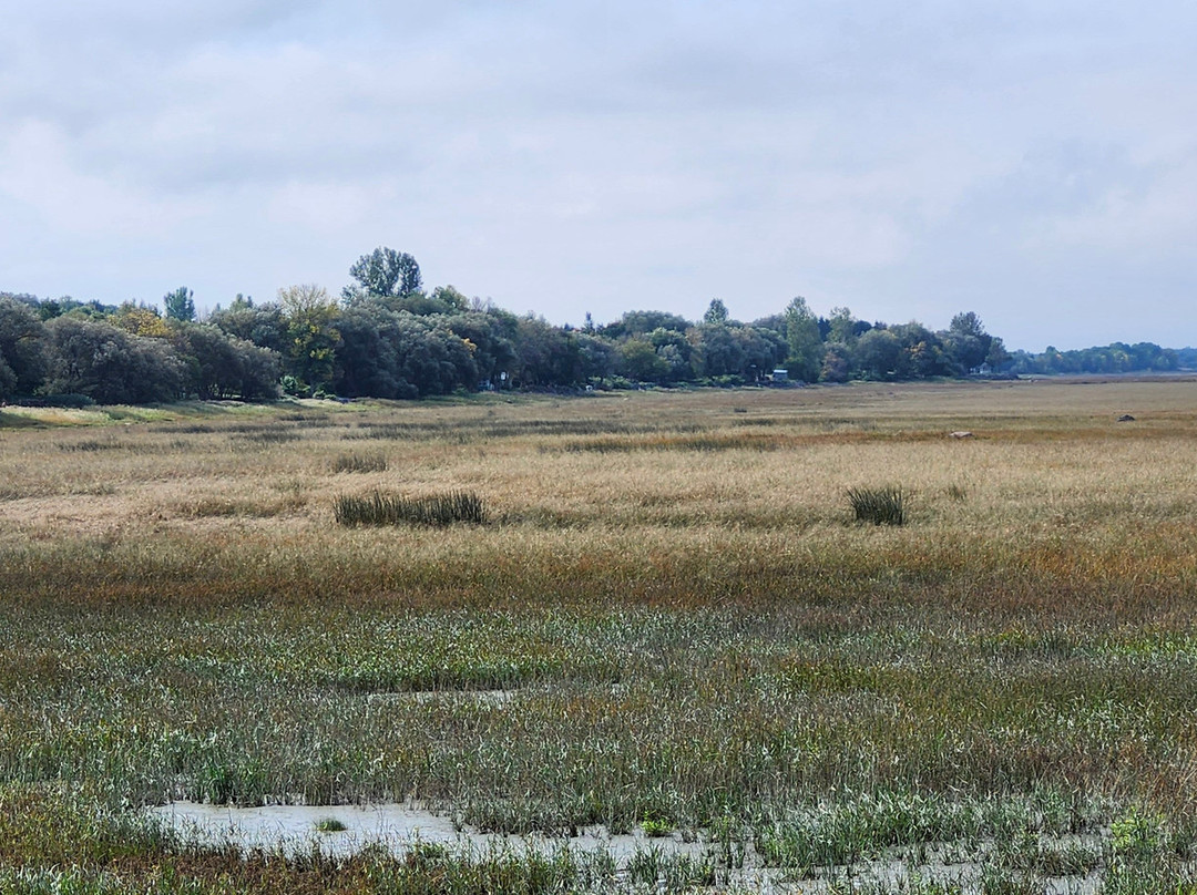 Bureau D'accueil Touristique De Cap-Saint-Ignace-Cap-Saint-Ignace必去景点