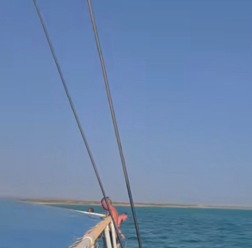 No Limits Adventure景点图片