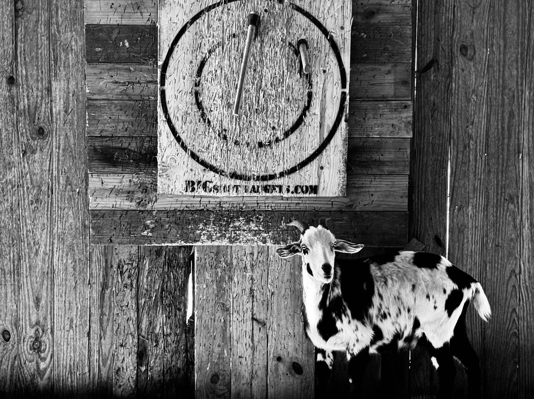 Blisswood Bed And Breakfast Ranch主图