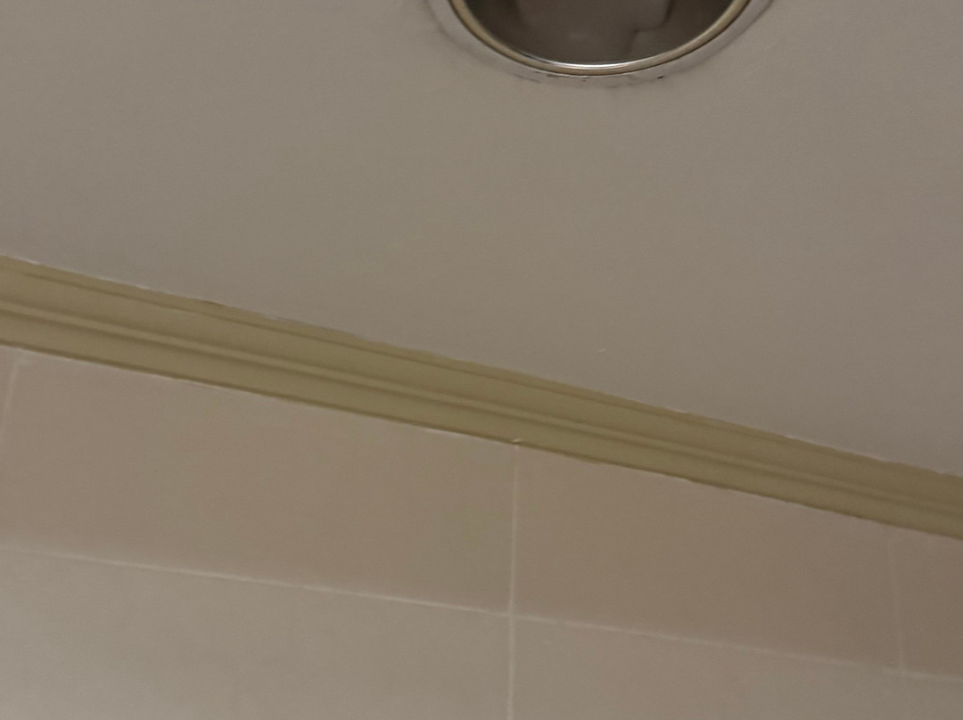 费歇尔酒店主图