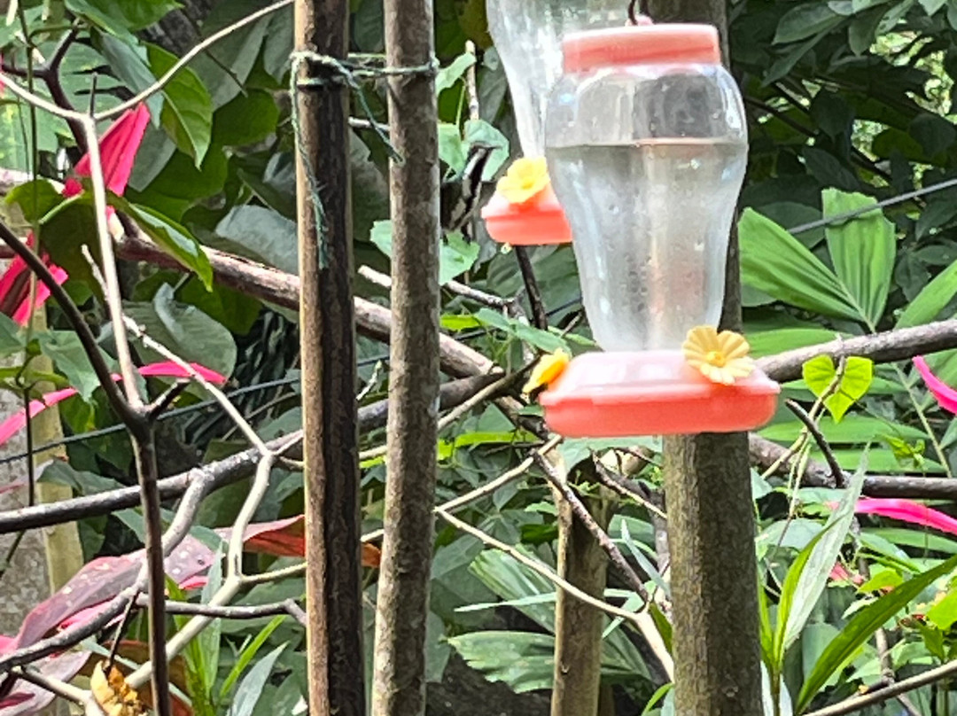 Adventure Farm and Nature Reserve-多巴哥必去景点