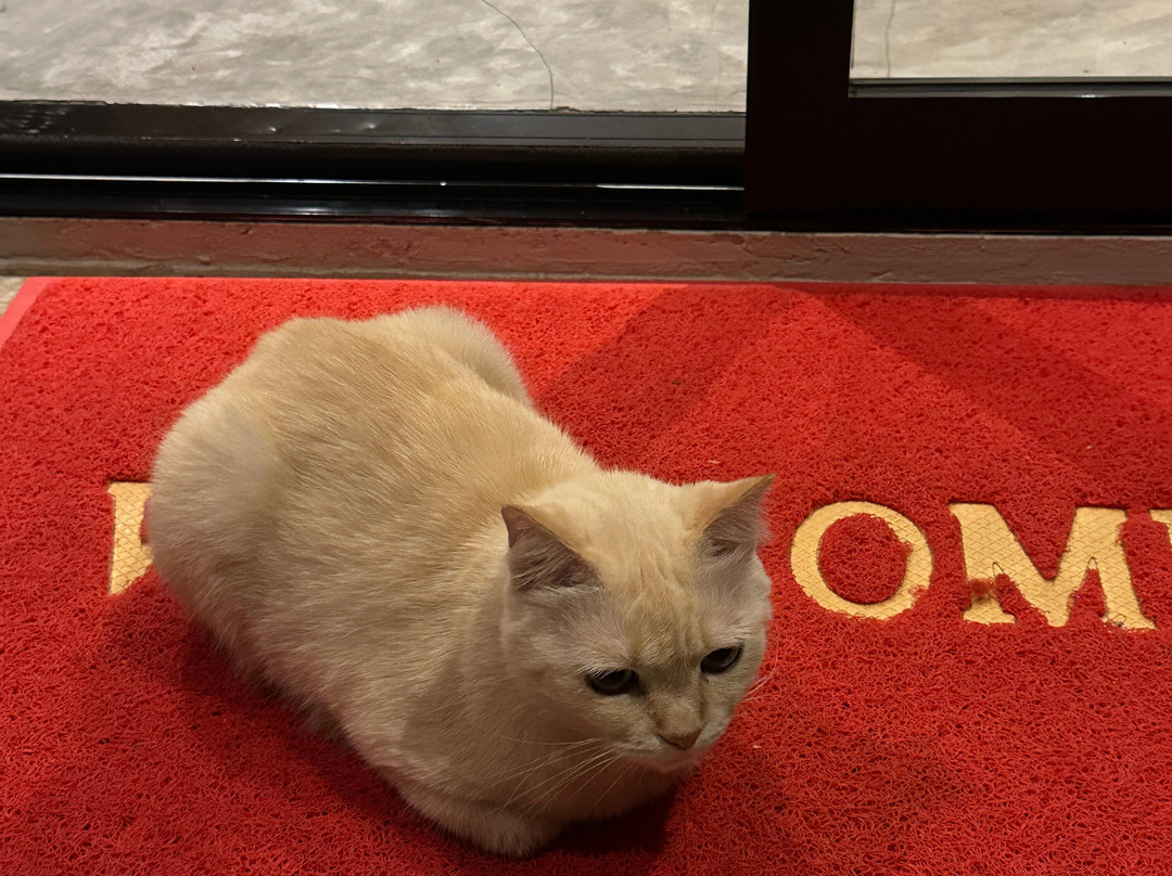 奈函海滩度假酒店主图