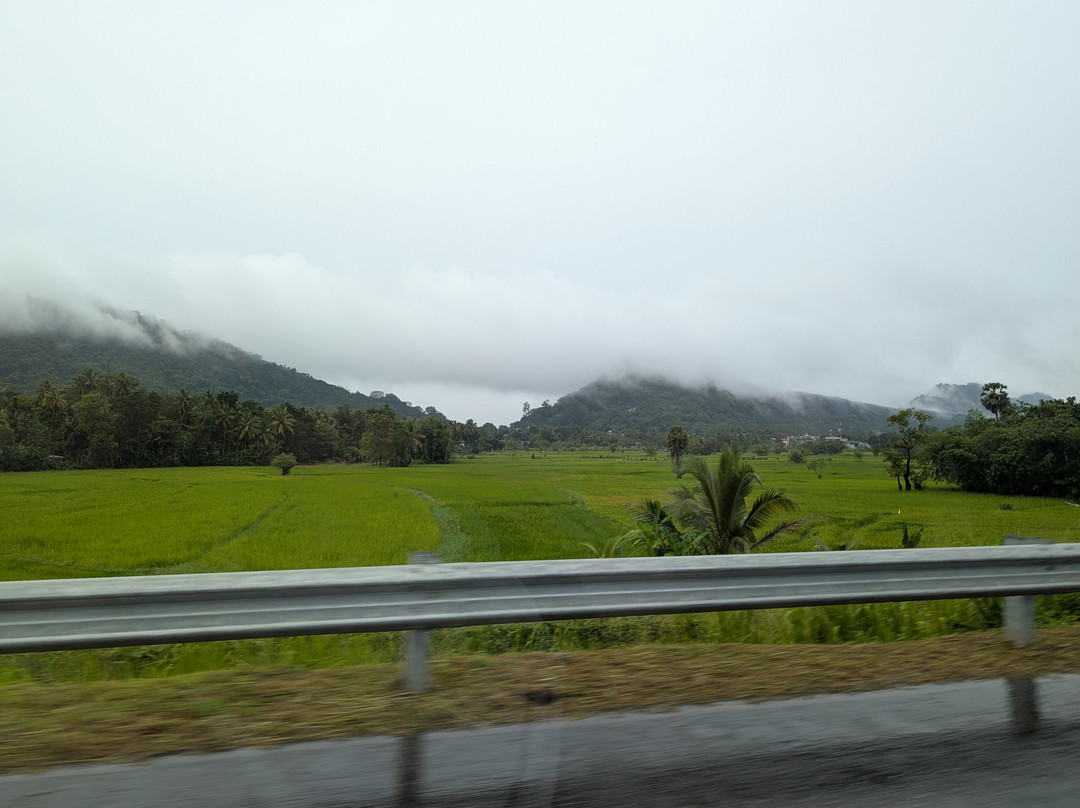 Raj Lanka Tours Nouraj景点图片