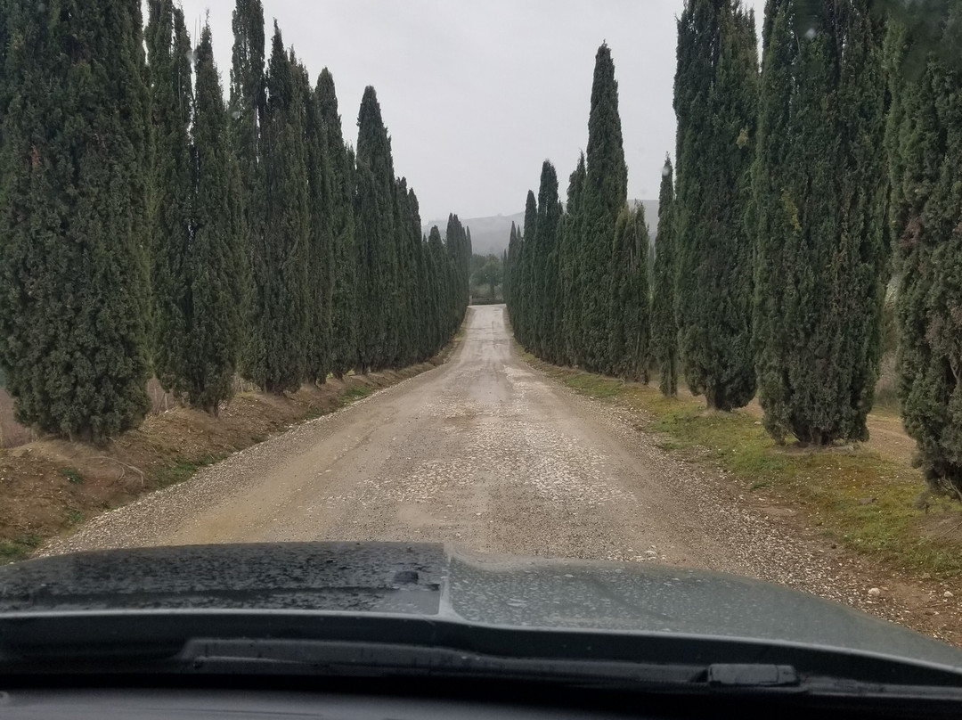 Caparzo Winery-蒙塔尔奇诺必去景点