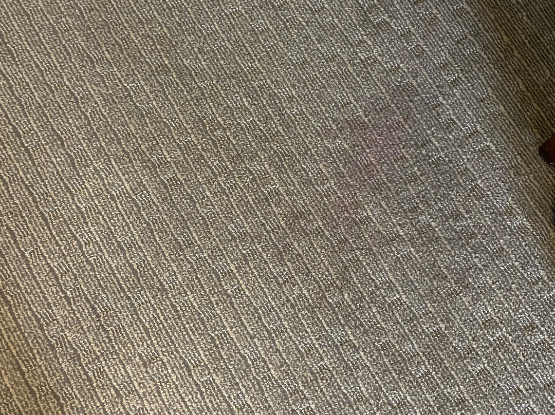 Comfort Suites Grand Rapids North主图