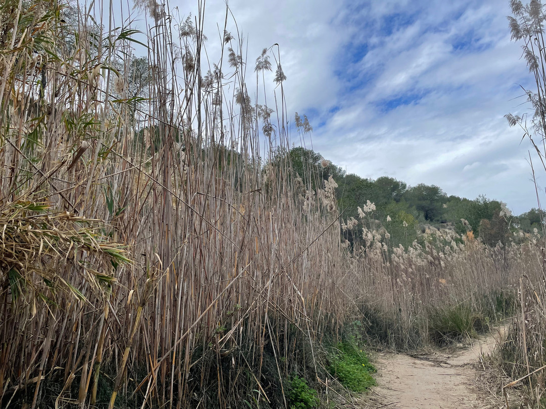 Ruta Senderista Rio Seco景点图片