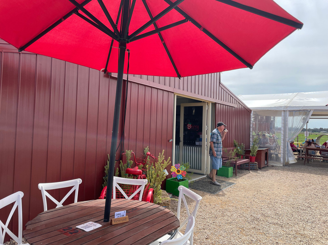 The Berry Dairy-Maffra必去景点