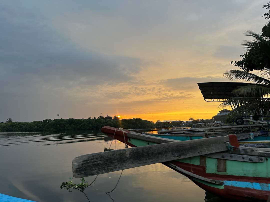 Liam Boat Safari景点图片