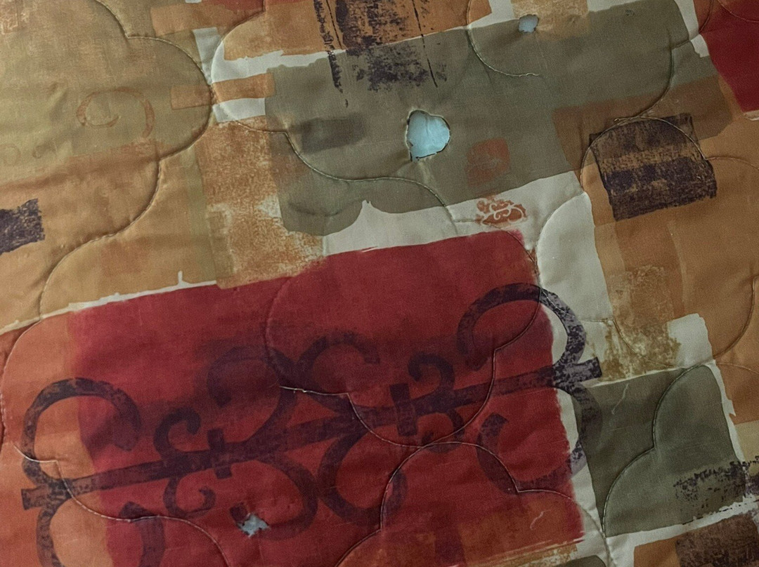 Super 8 by Wyndham Hancock MD主图