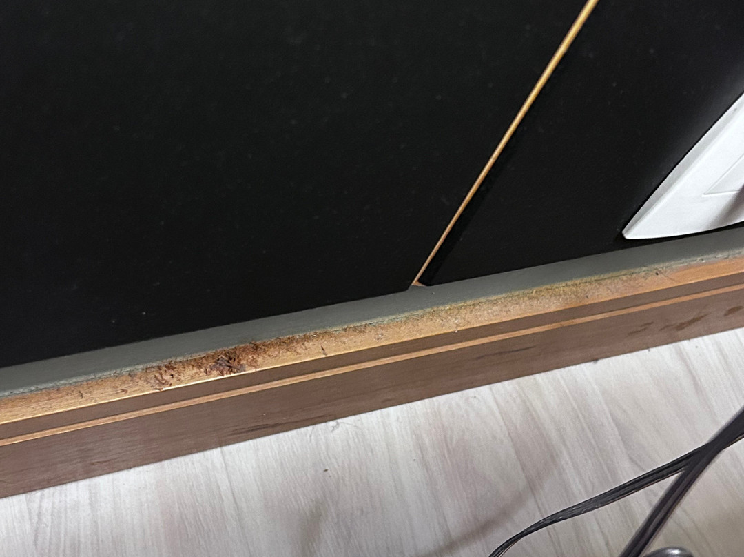 Hotel Araucária Plaza主图