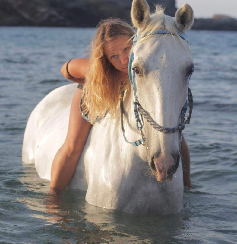 Mykonos Horseland-米科诺斯必去景点