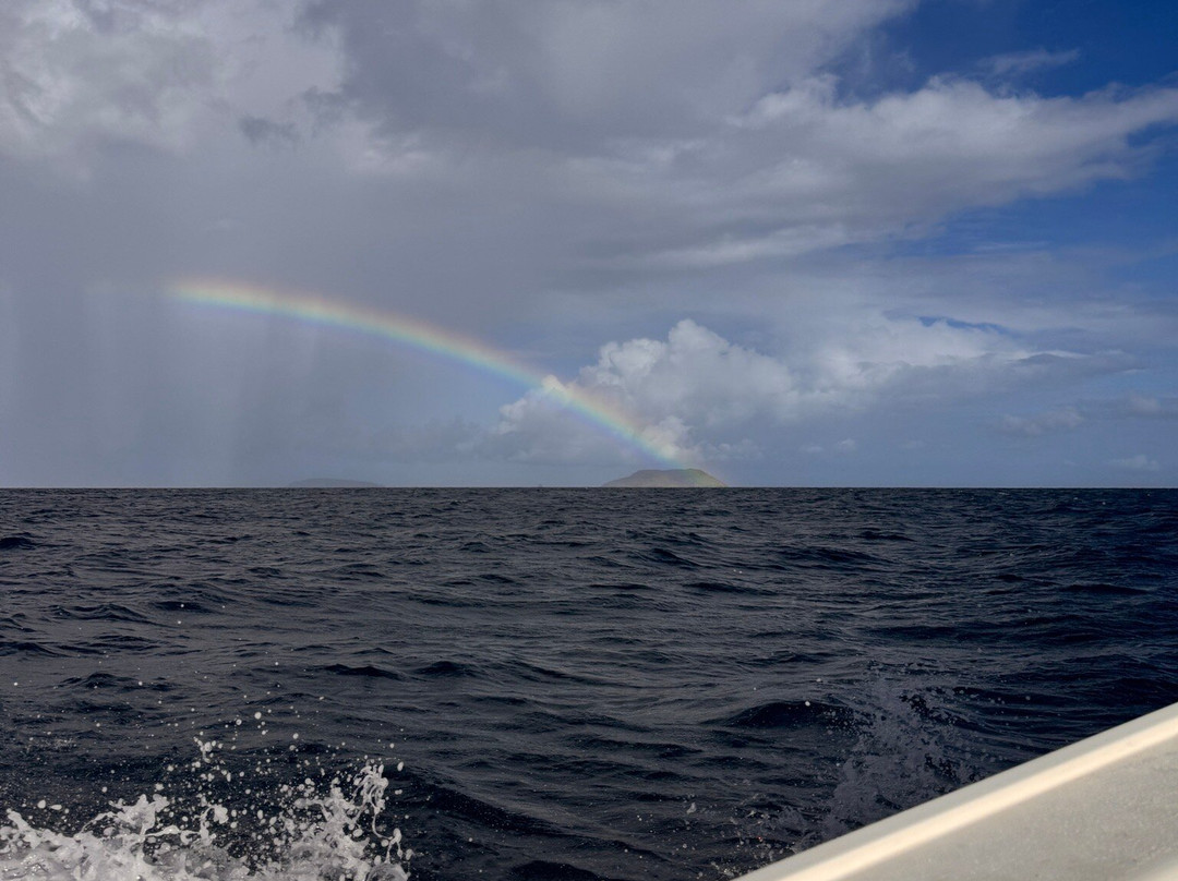 The Last Mile Water Taxi