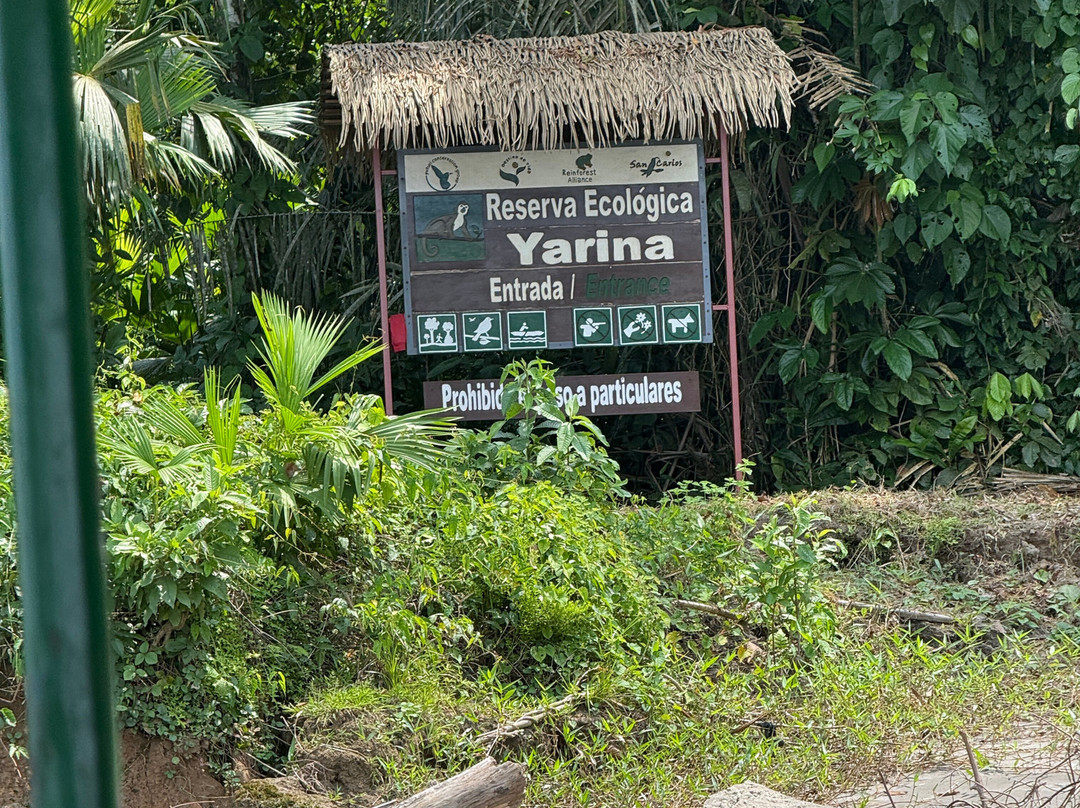 Yarina Eco Lodge主图
