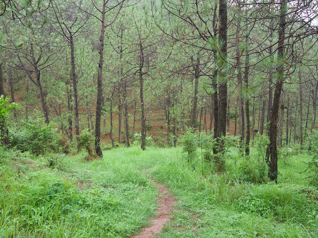 Tethys Himalaya主图