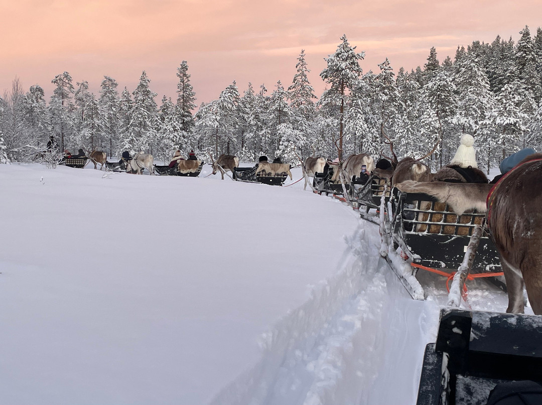 Sieriporo Safaris-罗瓦涅米必去景点