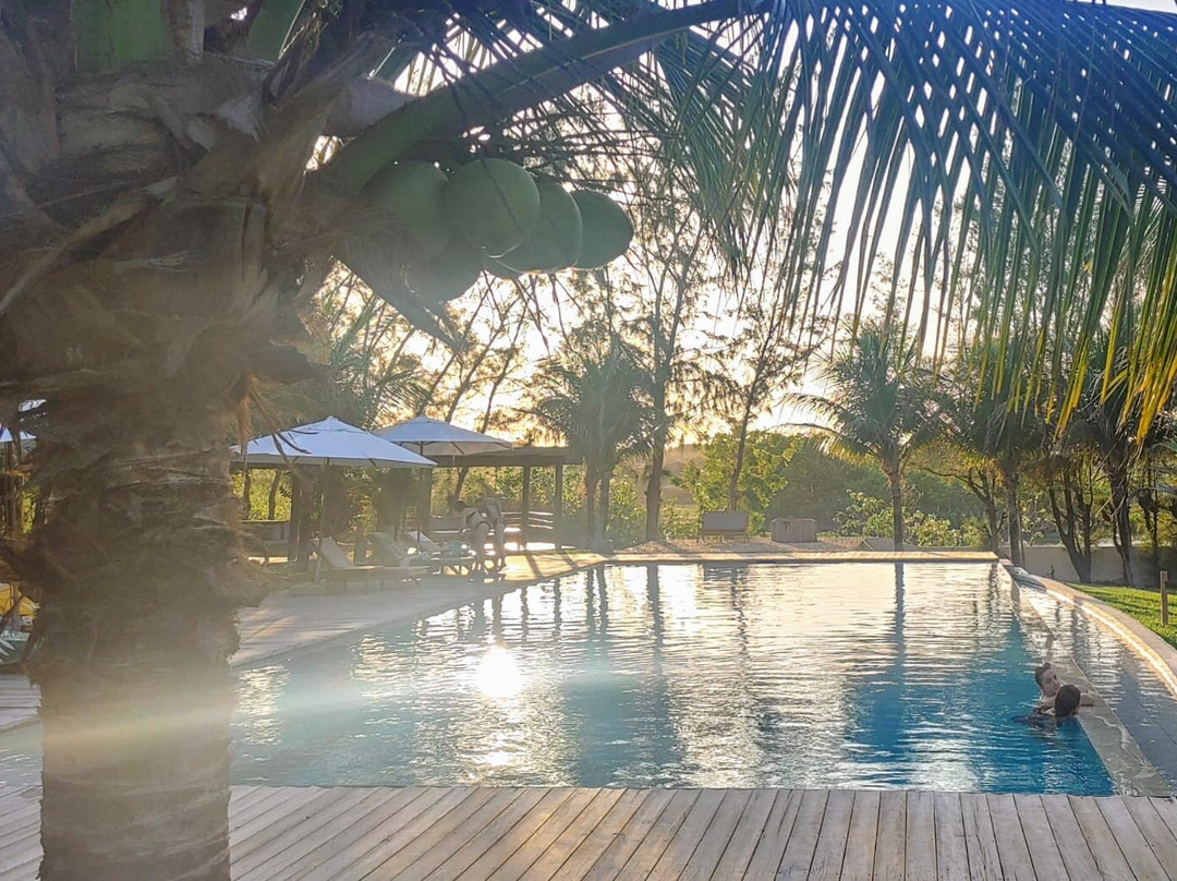 Hotel Vila Selvagem主图