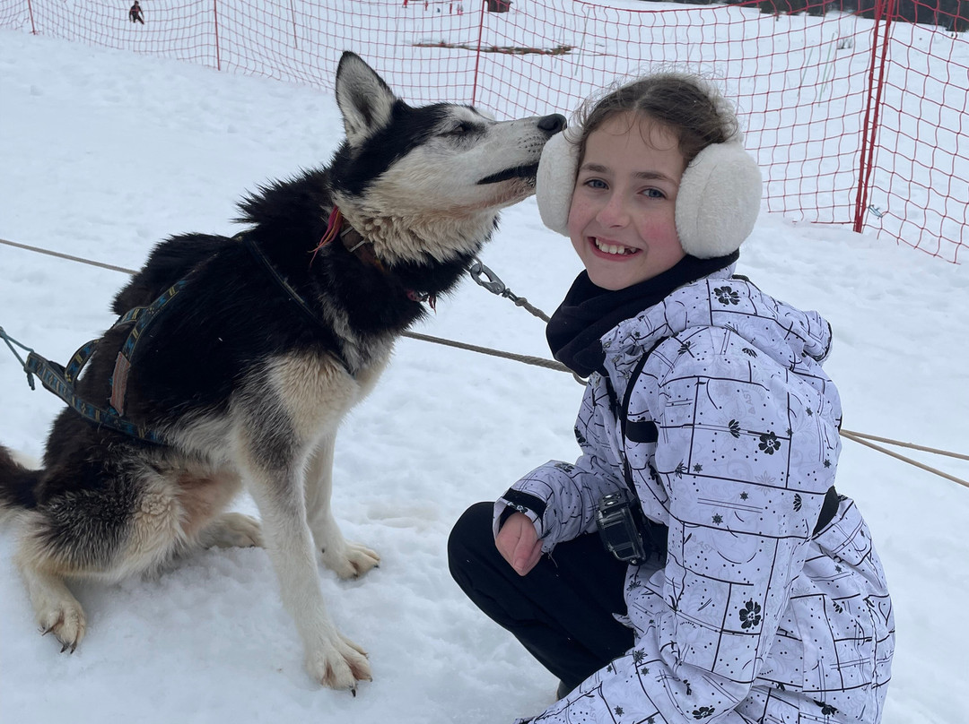 Chiens De Traîneaux Chamrousse-尚鲁斯必去景点