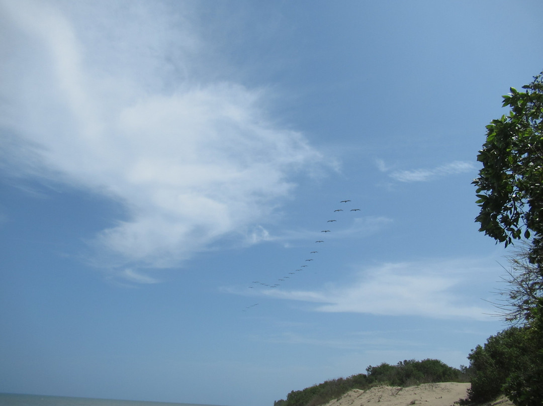 Playa Arenal景点图片