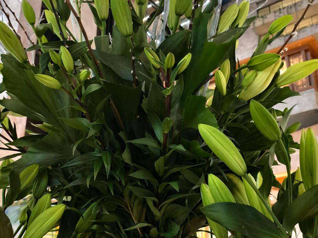 Crowne Plaza Kuwait Al Thuraya City by IHG主图