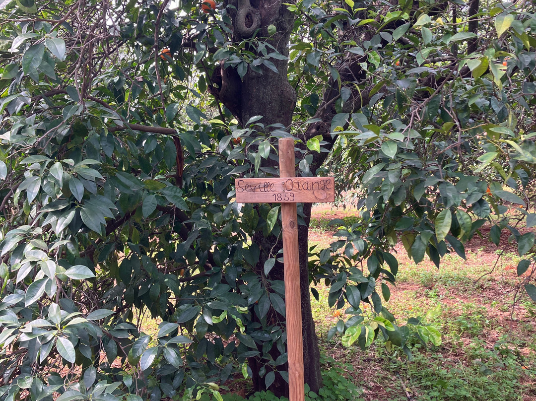 Gospa Citrus S.L.-Mairena del Alcor必去景点