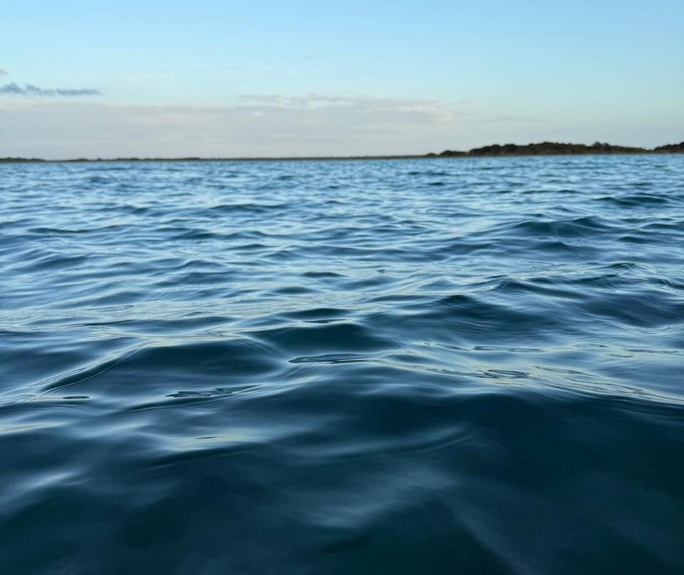 Our Habitas Bacalar主图