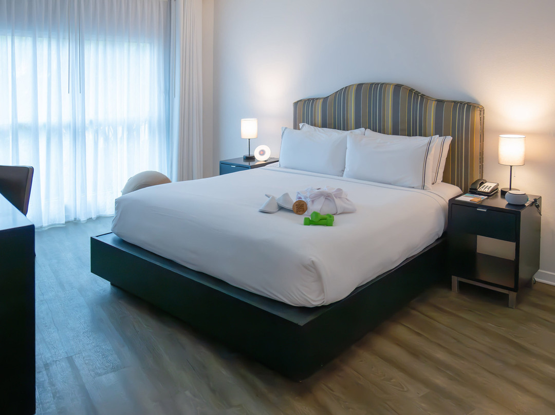 美利亚奥兰多庆典主图