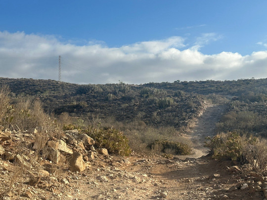 Montanas Guaza-特纳里夫必去景点