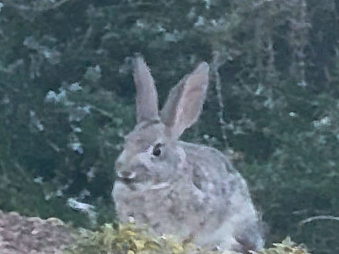 Lake Las Vegas Sports Club