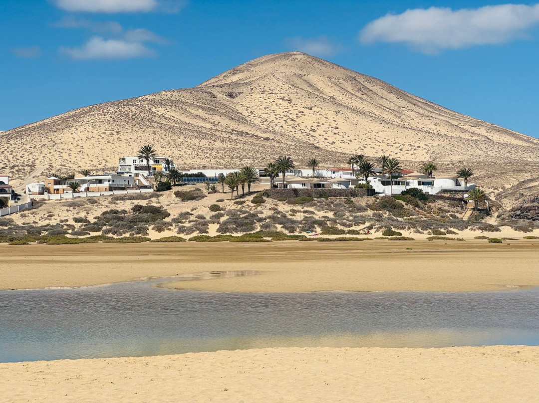 Laguna de Sotavento景点图片