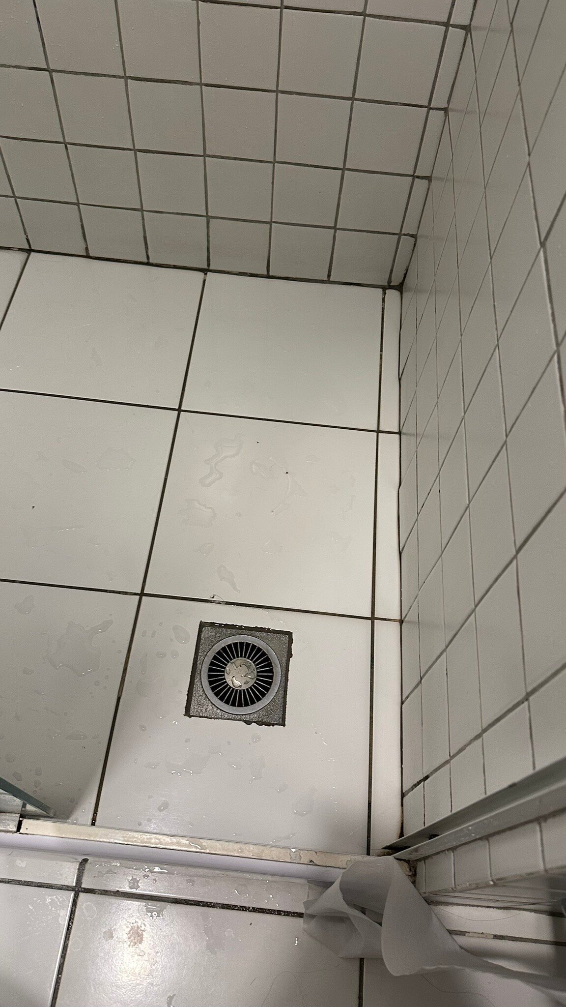 宜必思特雷西纳酒店-官方