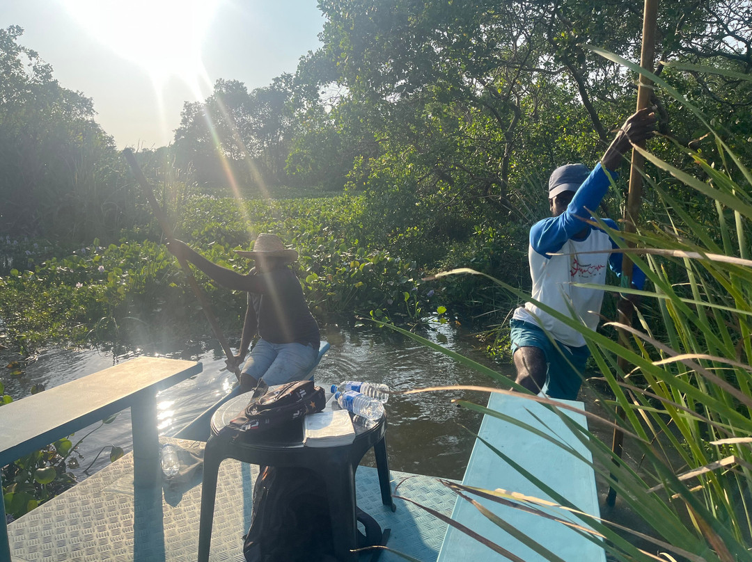 Kalamatiya Bird Sanctuary景点图片