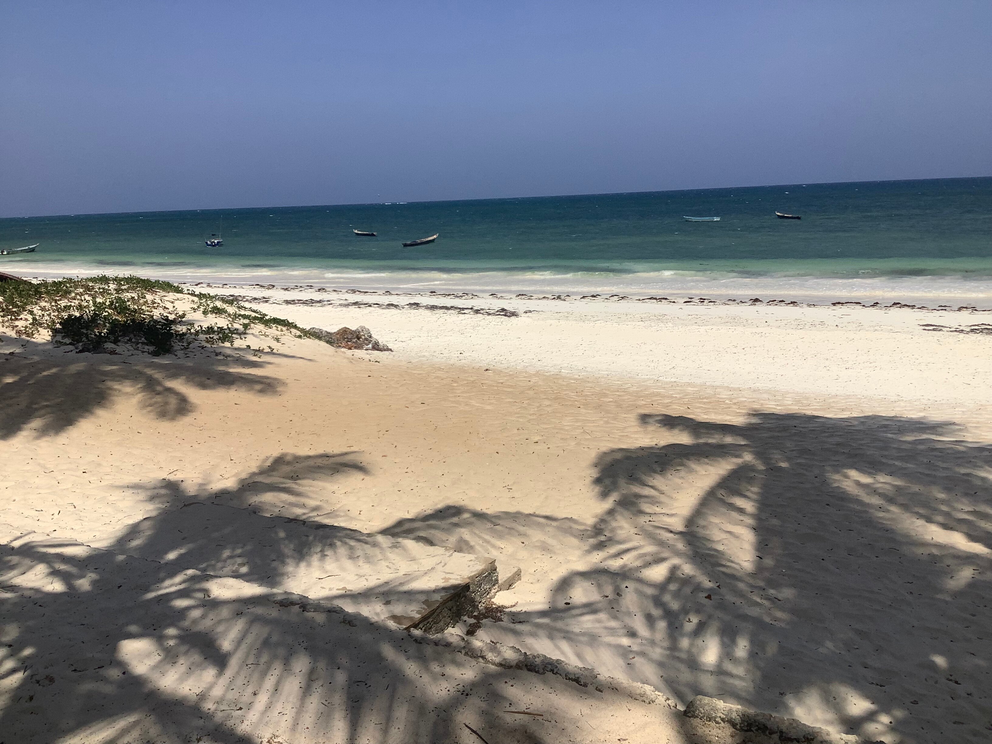 Baobab Sea Lodge-官方