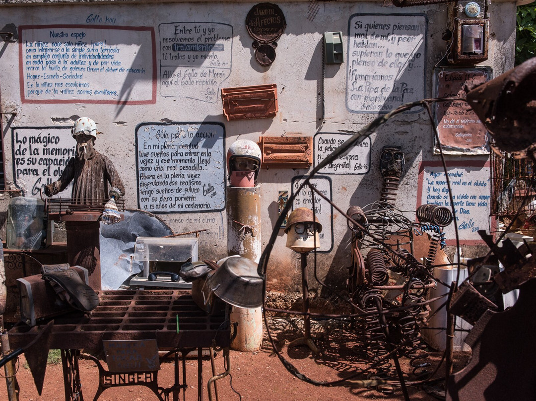 Museo de Gallo-哈瓦那必去景点