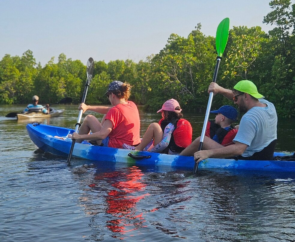 Bwejuu Mangrove Tunnels Kayak-必韦久必去景点