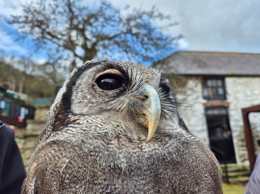The Owls Trust景点图片